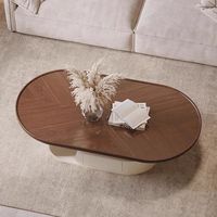 Table basse moderne et simple en bois massif de noyer, nouveau design créatif, couleur crème, pour petit salon, style réseau domestique populaire