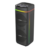 Enceinte portable double 12 pouces en plastique CSN-9206 avec LED RGB sans fil 5.2, alimentée par batterie, pour fêtes en extérieur, son stéréo et basses puissantes