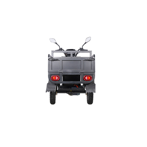 Conception personnalisée Tricycle <span class=keywords><strong>solaire</strong></span> <span class=keywords><strong>électrique</strong></span> à 3 roues Cargo Truck Trade Motorcycle Bike <span class=keywords><strong>Prix</strong></span> - Product Image 5