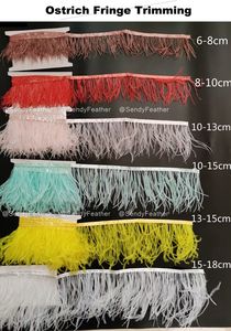 <span class=keywords><strong>Piume</strong></span> di <span class=keywords><strong>piume</strong></span> di struzzo di <span class=keywords><strong>piume</strong></span> di struzzo rifiniture frangia <span class=keywords><strong>con</strong></span> nastro nastro per modisteria pigiama moda borse di moda <span class=keywords><strong>scarpe</strong></span> - Product Image 5