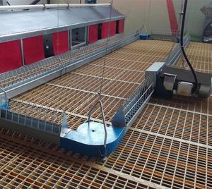 Sistema automático de alimentación de la cadena avícola Pollos Sistema de la línea de alimentación de la cadena de <span class=keywords><strong>gallinas</strong></span> - Product Image 6