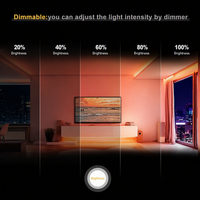 RGB CCT COB LED Şerit Rgbww 12v 5 Yıl Garantili Mavi Kırmızı 5m 20m Rgbcct 24v Rgbw Rgb Kısılabilir COB LED Şerit Bant Işık