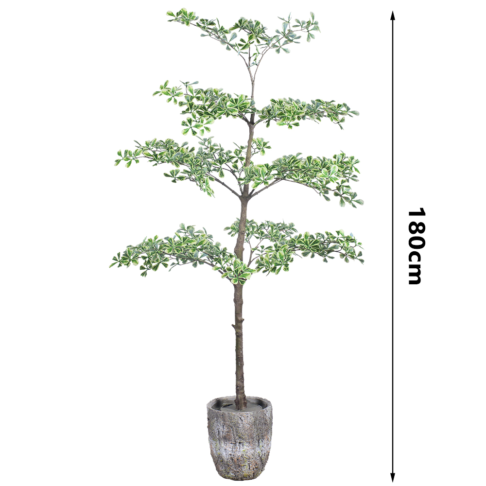 Color variegado -180cm