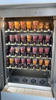 Haloo Frozen Fruit Smoothie IJsautomaten SDK QR-code Munt Betaalsysteem RVS Touchscreen POS Integratie OEM/ODM