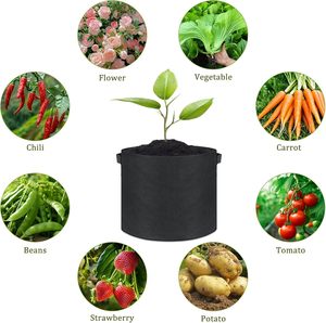 Sacs de culture de plantes en géotextile non tissé écologiques personnalisés de 1, 3, 5, 7, 10, 15, 20 gallons pour la culture de légumes à domicile - Product Image 3