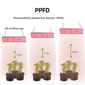 ANDY PPE 3.6 umol/<span class=keywords><strong>j</strong></span> ไฟปลูกต้นไม้ LED 300W 600W สำหรับเรือนเพาะชำมะเขือเทศผักกาดหอมสตรอเบอรี่ตัดดอก - Product Image 5