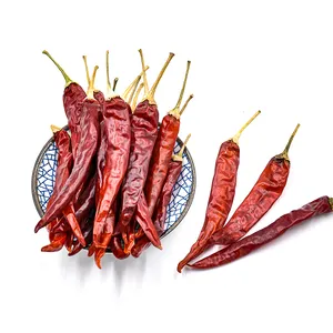 Chilli Quality Red Chilli Vegetable Great Quality Spicy Red Chillie Supplier