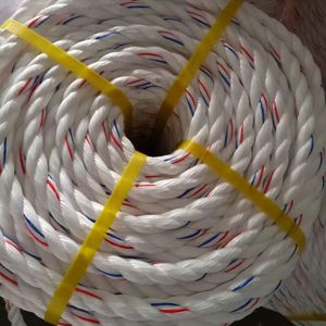 PP Danline Rope Marine Rope Shandong China 3mm-60mm PP Baler Twine Polypropylene Split Film 3 Strands pp Twisted Rope - Product Image 2