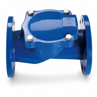 Clapet anti-retour à bride en fonte ductile PN16 pour conduites d'alimentation en eau et de protection incendie