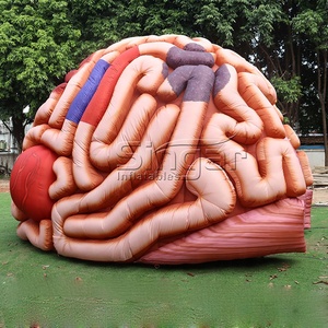 Khổng Lồ Inflatable Organ, Inflatable Não, Inflatable Điêu Khắc - Product Image 5