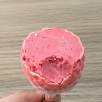 Hicey Groothandel 4D Aardbei-vormige IJsjes Fruit Sorbet Chocolade Knapperige IJsjes Exotische Smaak Ijspops