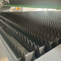 Découpeuse de laser de coupeur de laser de fibre de CNC en métal pour la feuille de cuivre d'aluminium de plaque de fer
