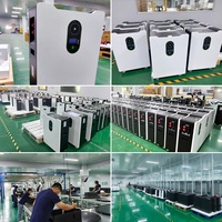 Batería de Litio LiFePO4 de Fábrica OEM CE UN38.8 DEJIN Cell 15KW 16Kwh 51.2V 280Ah 314Ah para Sistema Doméstico, 8000 Ciclos