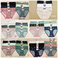 2026 High Quality Random Colors Mixed Designs Stocklot Bulk Bale Wholesale Cheap Lady Panties Mixed Design Women Girl Underwear