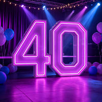 Lettres lumineuses LED personnalisées de 3 et 4 pieds, enseigne lumineuse « Baby Marry Me », lettres illuminées pour la décoration de mariage et de fête