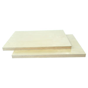 <span class=keywords><strong>Contreplaqué</strong></span> préfini de bouleau de <span class=keywords><strong>18</strong></span> <span class=keywords><strong>mm</strong></span> <span class=keywords><strong>contreplaqué</strong></span> à noyau de bouleau résistant à l'humidité en canadien - Product Image 4