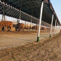 Nouvelle clôture en treillis métallique Agricon pour ferme et bétail, galvanisée, maille losange, trous de 25-100 mm, mailles de 1,20-5,0 mm, pour enclos animaux