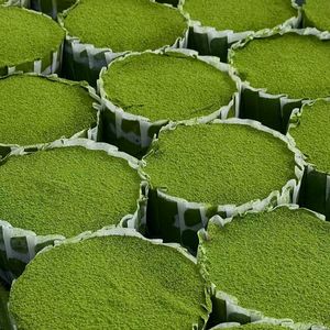 精选豆浆抹茶，专业现场认证。通过可靠的高标准打造完美的风味 - Product Image 3