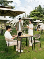 Chaises et canapés d'extérieur multifonctionnels en métal de style pastoral, approuvés par les influenceurs, pour cafés, restaurants occidentaux, et ensembles de thé au lait de style hôtelier