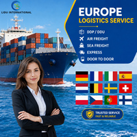 Services logistiques d'agent d'expédition DDP, transitaire maritime FBA économique de Chine vers l'Inde et le Pakistan, agent d'expédition de conteneurs FCL