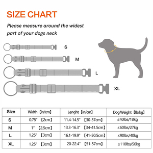 <span class=keywords><strong>Collar</strong></span> de Perro Ajustable de Diseño de Alta Calidad con Nylon Reflectante y Acolchado de Neopreno Suave - Product Image 4
