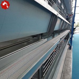 Fully Automated H Type Laying <strong>Hen</strong> Battery Cages 10000 Capacity Equipment for Ghana Zambia - Product Image 5