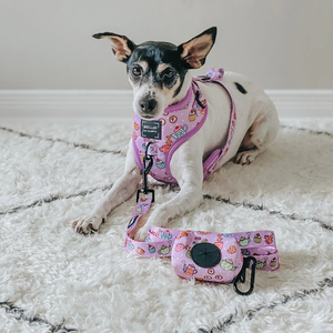 WELLGO Großhandel No Pull Hunde geschirr Set Robustes Polyester material Verstellbares Hunde halsband und Leinen Set - Product Image 6