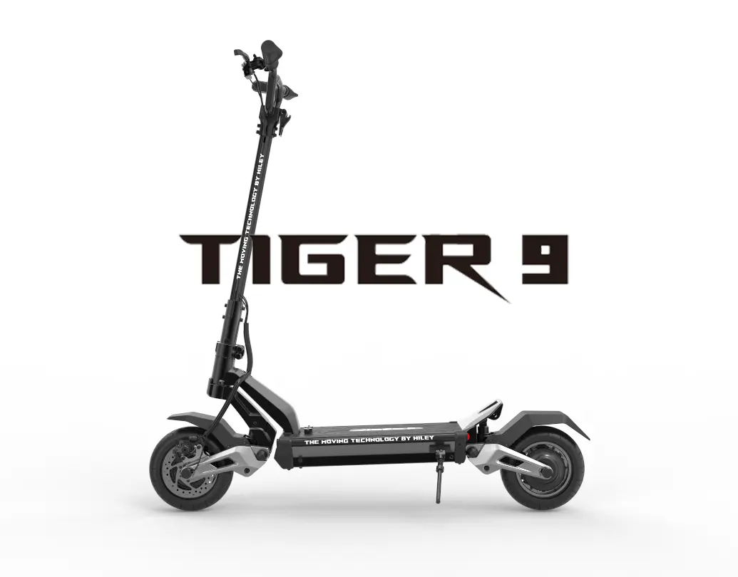 Elevato Standard di Alta Qualità a tre ruote scooter elettrico di trasporto libero potente adulto moto