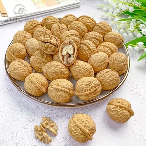 Bán buôn mỏng da Quả óc chó trong vỏ hương vị ban đầu số lượng lớn bán buôn Nuts đồ ăn nhẹ mới Quả Óc Chó - Product Image 6