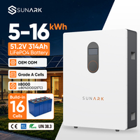 Batterie de stockage solaire LiFePO4 Sunark 51,2 V 100 Ah 5 kWh 10 kWh 16 kWh pour système de panneaux solaires domestiques et alimentation de secours