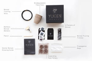 Kit de culture de bonsaï d'érable <span class=keywords><strong>japonais</strong></span> Cultivez votre propre arbre de bonsaï parfait pour les débutants et les amateurs de bonsaï Acer Palmatum - Product Image 3