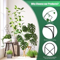 Tanaman pendukung dekoratif taman tonggak tanaman logam teralis untuk memanjat sayuran tomat