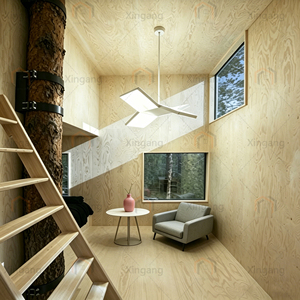 Casa Prefabbricata Ecologica Tropicale, Appartamento Mobile, Struttura in Vetro e Acciaio, Moderna e Lussuosa, Alimentata a Energia Solare, Leggera - Product Image 2