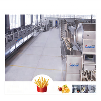 Machine à frire en continu entièrement automatique Moteur PLC Ligne de production industrielle en acier inoxydable 304 pour frites frites chips