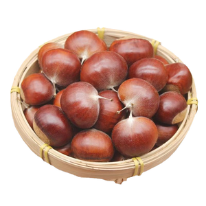 Castañas Frescas Crudas al por Mayor, Precio Competitivo, Castañas Dulces Naturales con Cáscara - Product Image 2