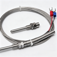 Waterproof Threaded RTD Thermocouple Sensor OEM ODM Custom Stainless Steel PT100 PT1000 3-Wire with Thermowell Tri-Clamp