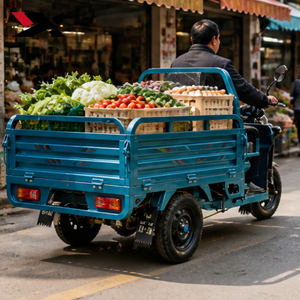 Tricycle motorisé à trois roues, moto à trois roues, capacité supérieure à 40 km/h, système de suspension, ETW 48V/60V 800W, tricycle à 3 roues - Product Image 4