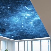 Peintures murales personnalisées pour salon et chambre à coucher, panneau lumineux LED ciel bleu pour plafond