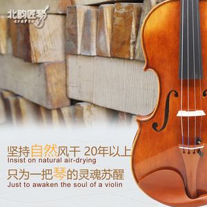 CHENTUO CT4.0 Handmade Student Violin 4/4 Solid Spruce <b>Top</b> Maple Sides Ebony Fingerboard 4-<b>String</b> Case Practice - Product Image 3