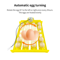 Incubateur d'œufs automatique pour 24 œufs, plateau à œufs de poulet, ferme avicole avec moteur