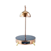 Réchauffeur de nourriture électrique de haute qualité en acier inoxydable et lampe chauffante en cuivre pour l'utilisation de la restauration buffet d'hôtel