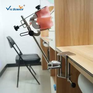 Simulateur dentaire, articulateur, simulation de la cavité buccale, formation, tête simple, modèle de dents humaines pour la formation en faculté de médecine - Product Image 4