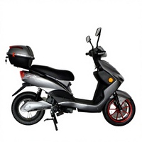 Nouvelle Arrivée Puissante Moto Électrique Adulte Économique avec Moteur OEM 450-1000W