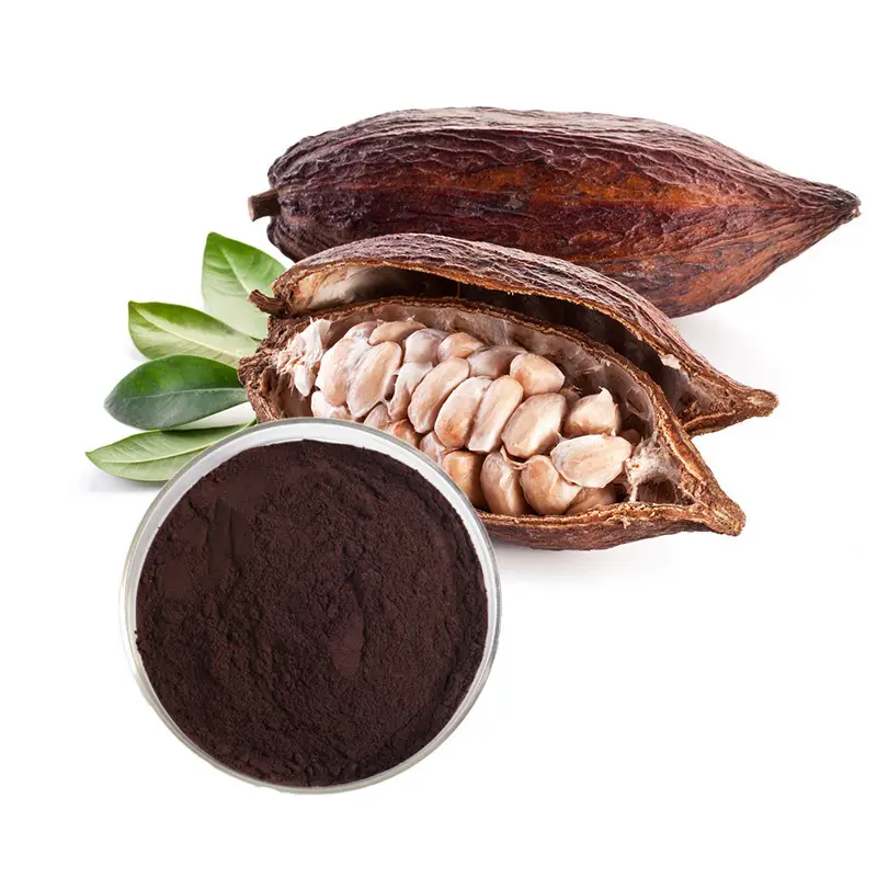 Wereld-Weg Lage Prijs Pure Cacao Zaad Extract Cacao Zaad