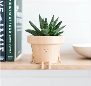 <span class=keywords><strong>Pot</strong></span> <span class=keywords><strong>de</strong></span> plantes d'intérieur <span class=keywords><strong>assis</strong></span>, <span class=keywords><strong>Pot</strong></span> <span class=keywords><strong>de</strong></span> fleurs en plastique Unique et mignon avec visage, jardinière cadeau succulente/Cactus <span class=keywords><strong>de</strong></span> 3.5 pouces avec trou <span class=keywords><strong>de</strong></span> Drainage - Product Image 2