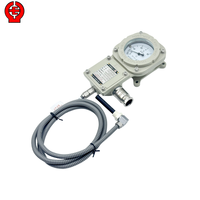 Explosion Proof Temperature Gauge Capillary IECEx Certified Temperature Instrument 4-20mA Output IP66 Ex d IIC T6 Gb