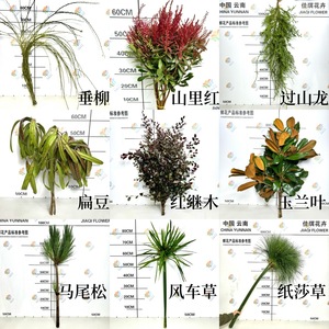 Lexun Grass Tianzhu, Material Floral de Época, Productos de Montaña, Flor de Nicho para Arreglos Florales, Hoja Verde para Bodas en el Bosque - Product Image 2