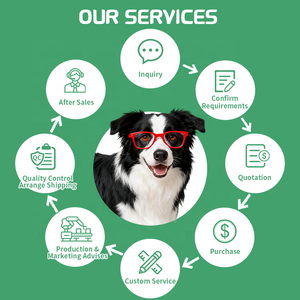 पालतू कुत्ते बिल्ली के लिए ओम एंटीबायोटिक तरल खुराक पालतू कुत्ते बिल्ली के लिए कस्टम एंटीफंगल विरोधी भड़काऊ ड्रॉप कुत्ते बिल्ली प्रतिरक्षा तरल फैक्टरी - Product Image 3