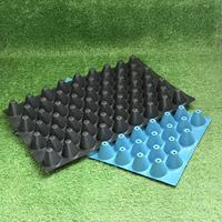 Barquettes à semis réutilisables, durables, légères et écologiques en PET (54/60/70/100) pour la culture de plantes de jardin, de légumes et de fleurs