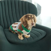 Gilet sans manches doux et moelleux à rayures hawaïennes pour chiens et chats, vêtements chauds d'hiver pour petits chiens et chats